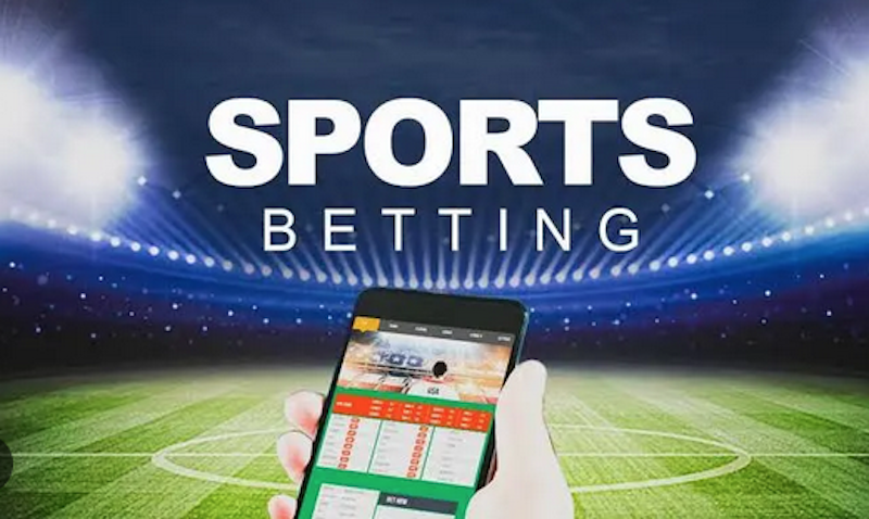 Discover the Exciting World of chachisha bet 0