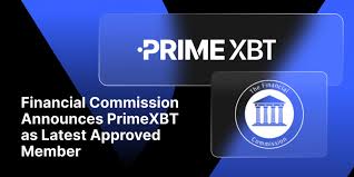 Essential Guide PrimeXBT Contact Information