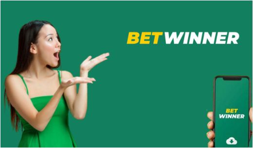 Understanding the Betting Landscape with Bookmaker BetWinner